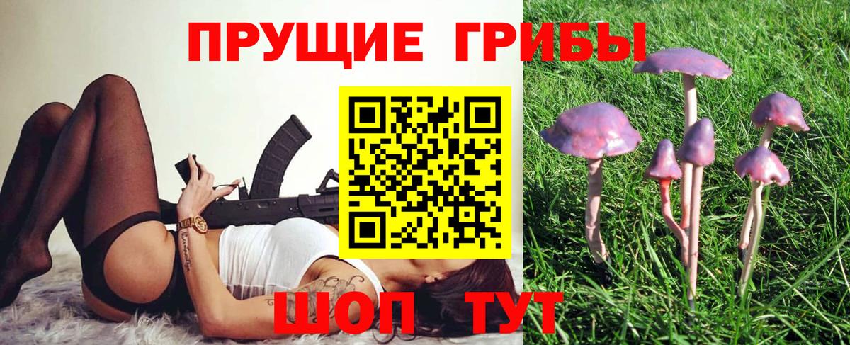 Галлюциногенные грибы ЛСД Дальнегорск