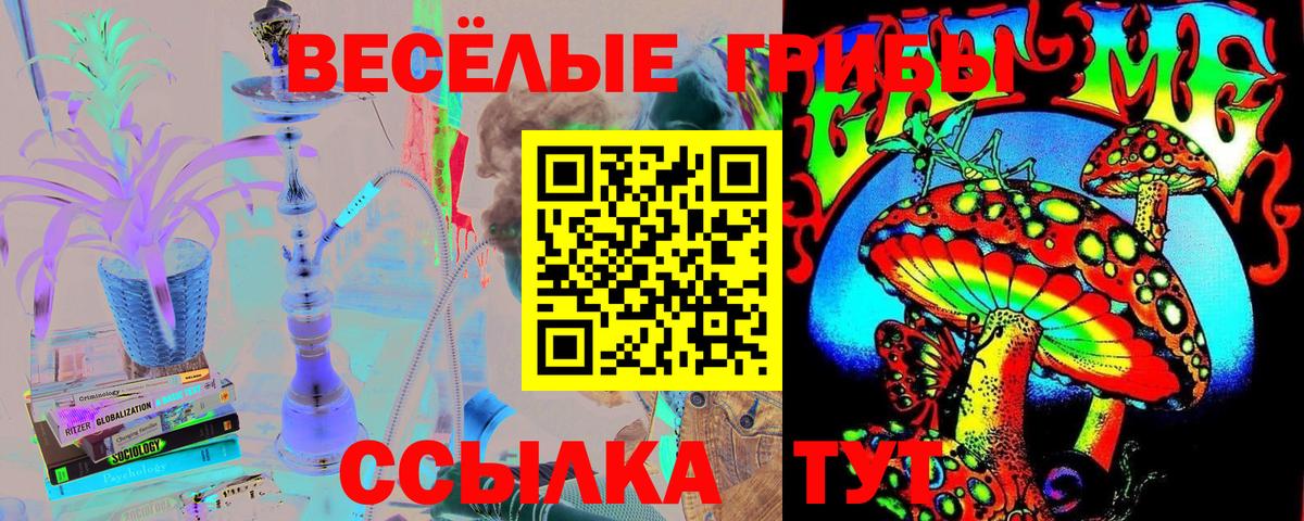 Псилоцибиновые грибы прущие грибы  Галлюциногенные грибы Psilocybine cubensis  Дальнегорск  Вход с VPN 